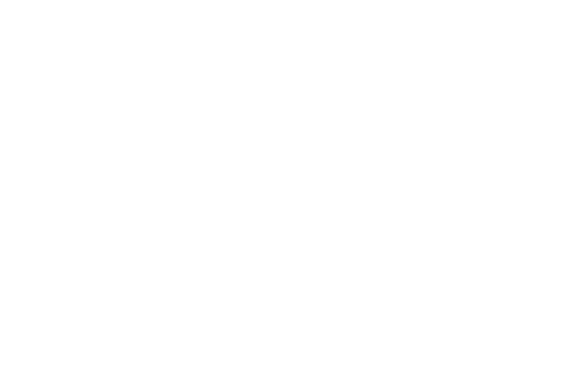 ABEL INVEST — 2020 ACTIVO INVEST, S.L.